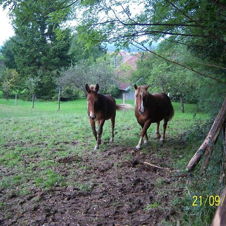 2 chambres d'hôtes privées louées séparément avec communs à partager Beaufort  Esterno foto